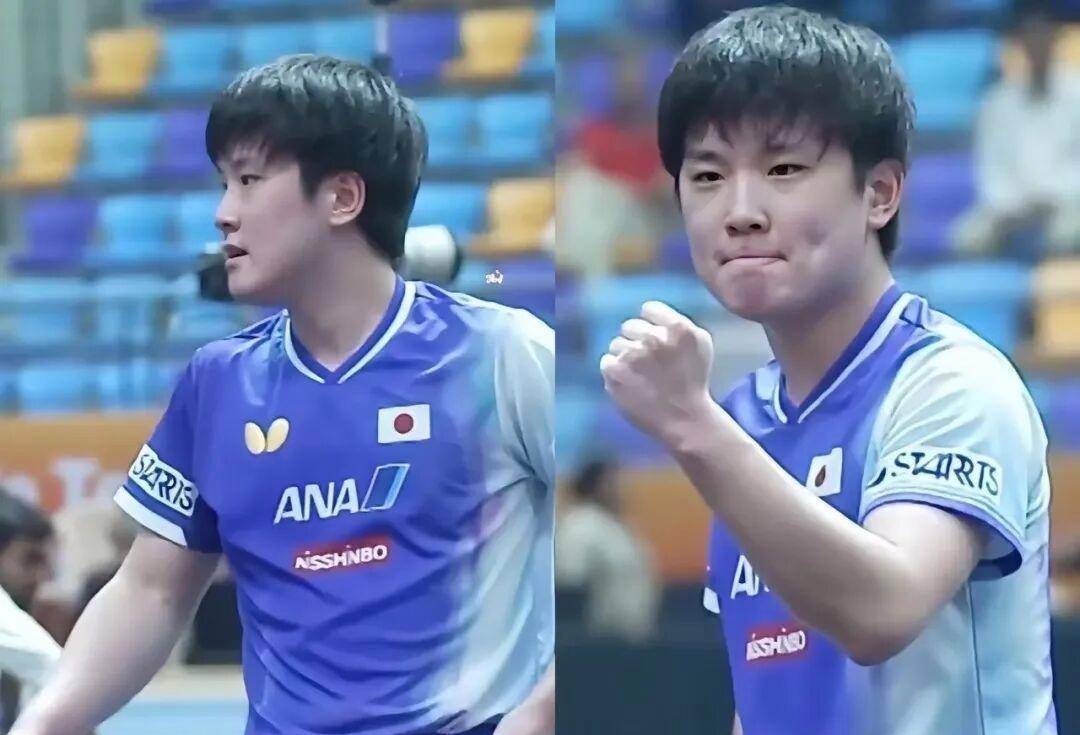 中国队逆转法国队，张本智和高光表现
